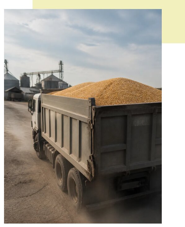 Перевозка сельхозпродукции навалом в Краснодар по цене от 3096 р. | Агросервис-Ксд
